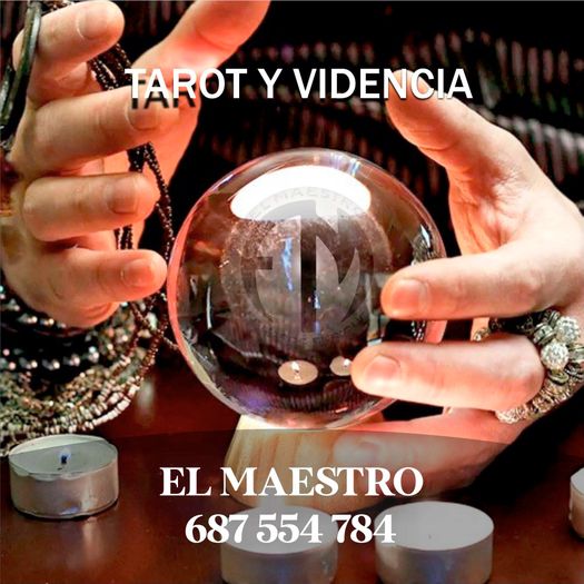 Videncia